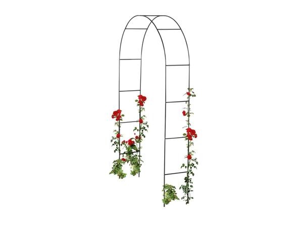 Livarno Home Rose Arch/​Garden Obelisk
