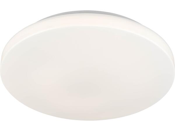 LED Bathroom Ceiling Light