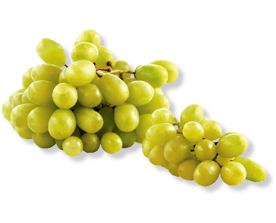 Trauben