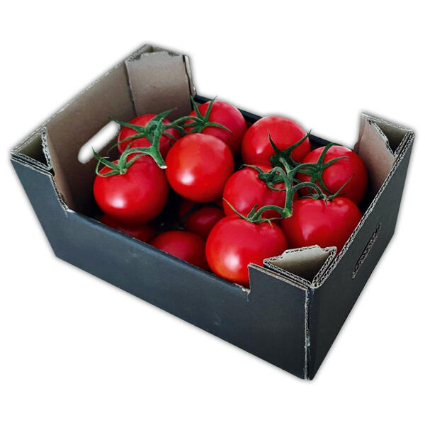 Premium Rispentomaten "Albrice"