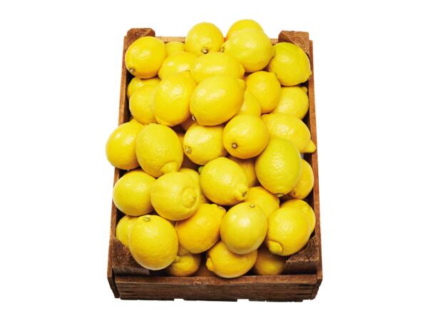 Citron
