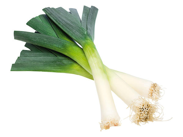 Lauch