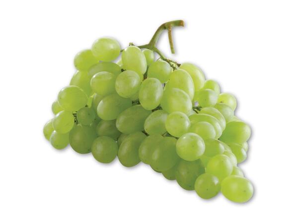 Grønne kernefri vindruer