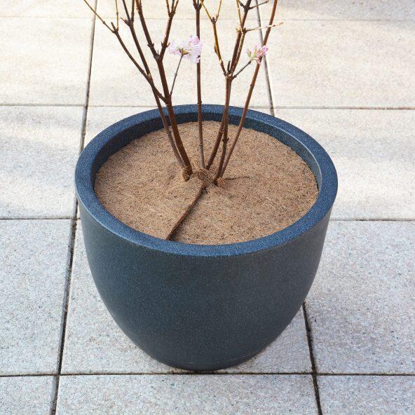 GARDENLINE(R) 				Kokosnussscheiben für Pflanzen, 3 St.