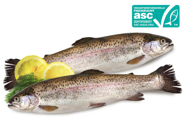 ASC Regenbogenforelle 2er