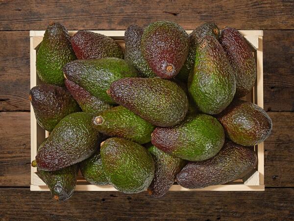 Avocat