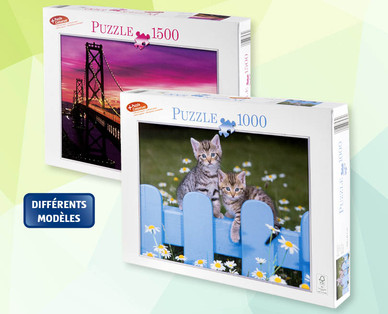 Puzzle pour adultes