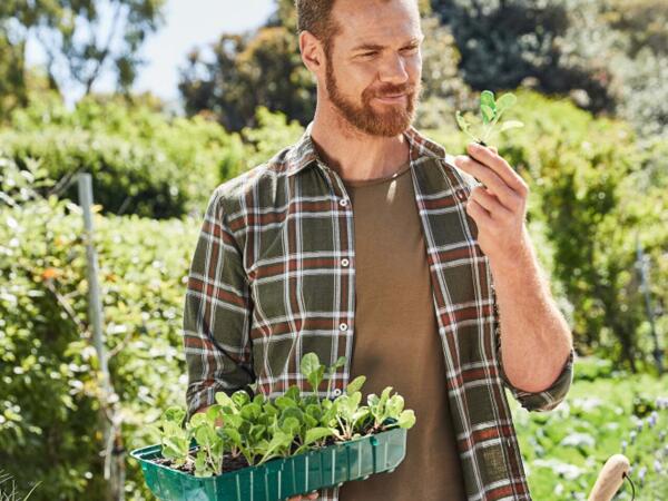 Propagator Set