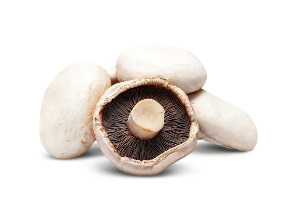 Large Flat Mushrooms