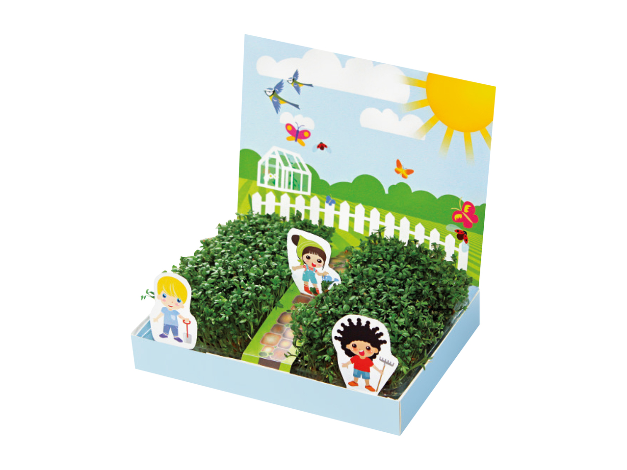 Little Gardeners Cress Garden1