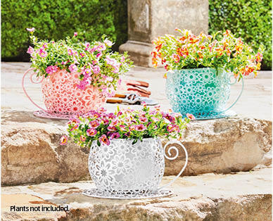 Tea Cup Planter