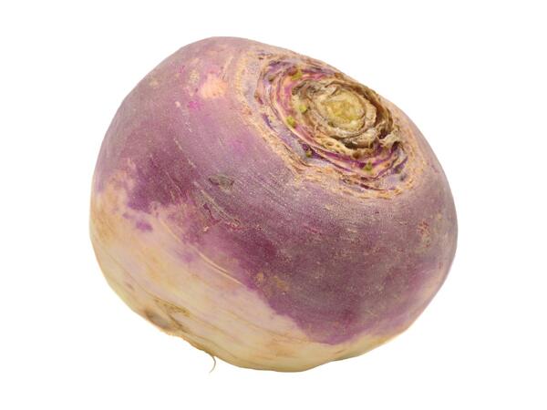 Large Swede