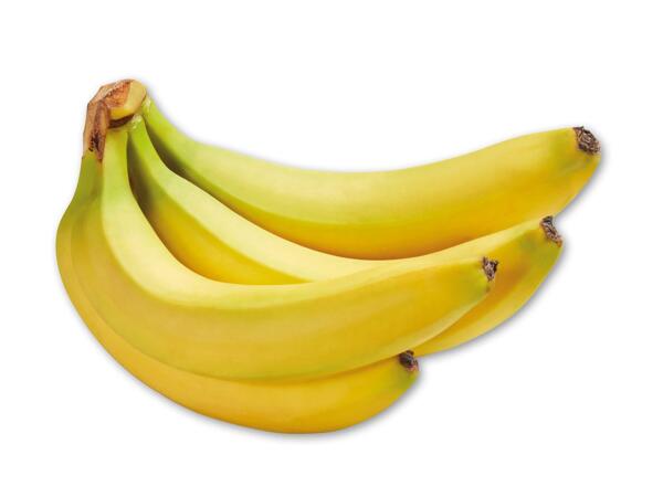 Rainforestbananer