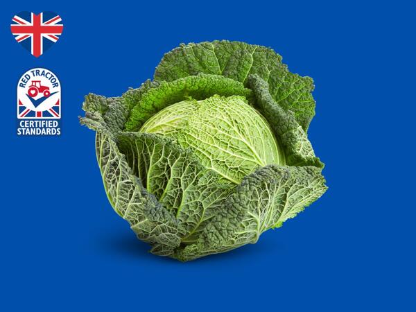 British Savoy Cabbage