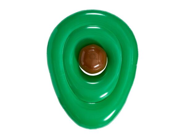 Livarno Home Inflatable Pool Float