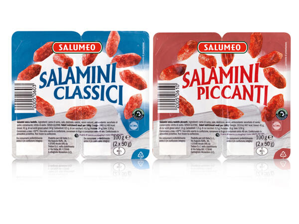 Mini Salami