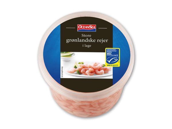 Store grønland­srejer
