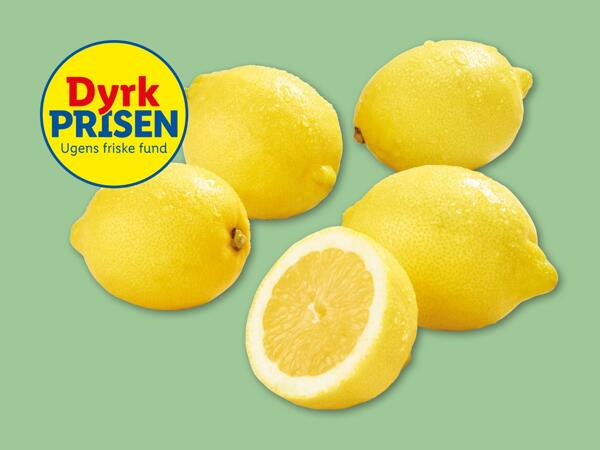 Citroner