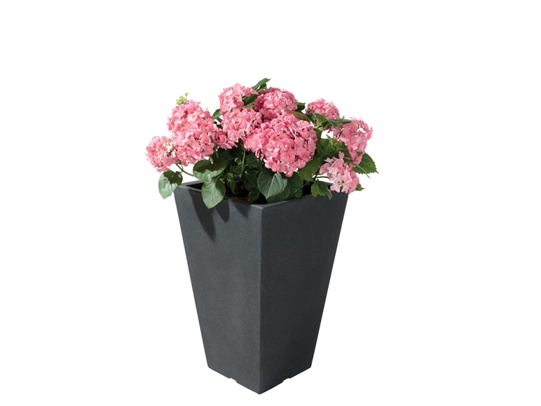 Planter - Square or Round Pot