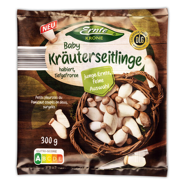 Baby Kräuterseitlinge