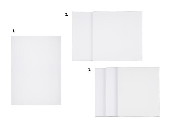 Toile/lot de toiles