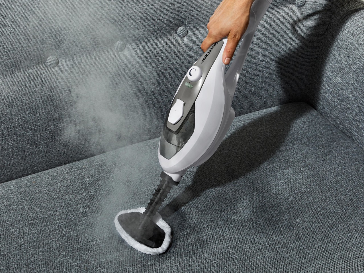Manual and Steam Cleaner, 2 in 1