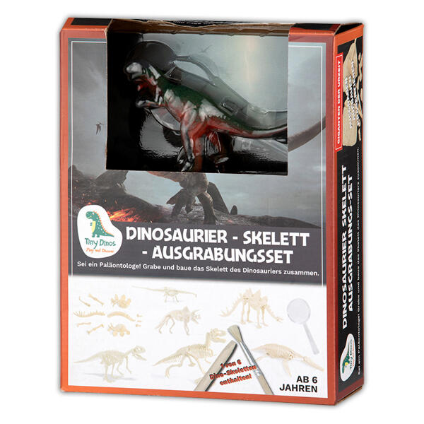 Ausgrabungs-Komplett-Set