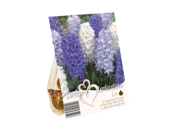 Blomsterløg