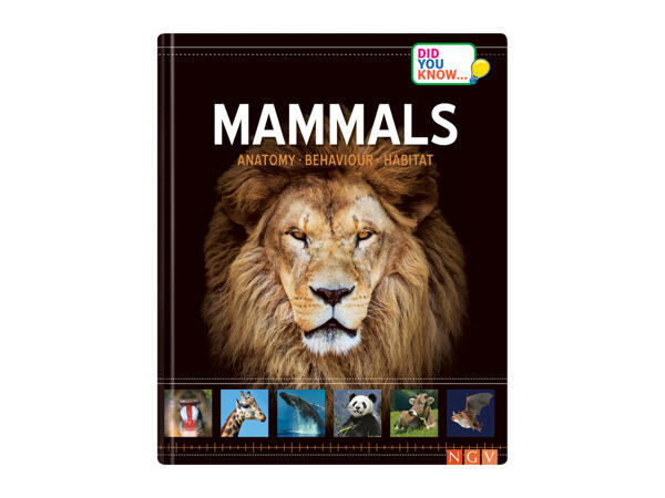 Kids' Science Book