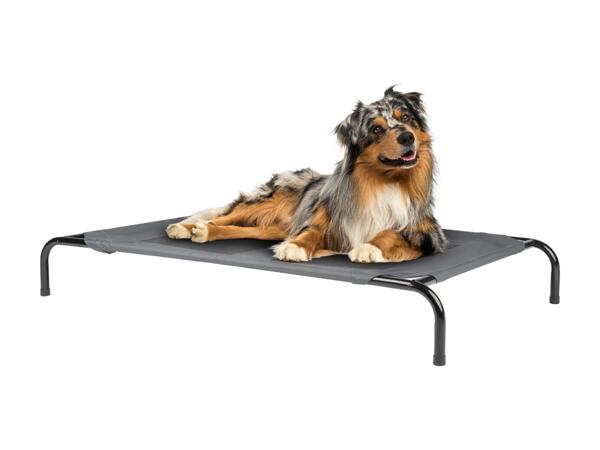 Raised Dog Bed