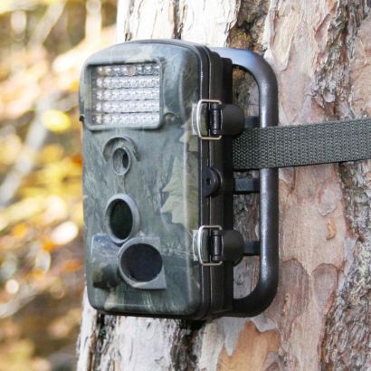 Wildcamera