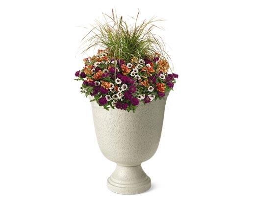 Belavi 
 Urn Planter
