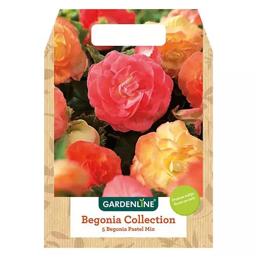 Mixed Spring Bulbs - Assorted Varieties