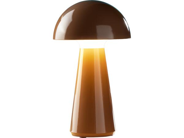 Cordless Table Lamp