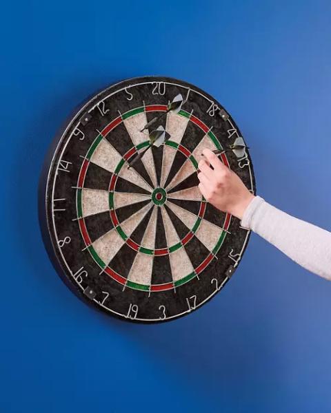 Sisal Dartboard
