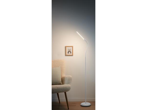 LED Floor Lamp