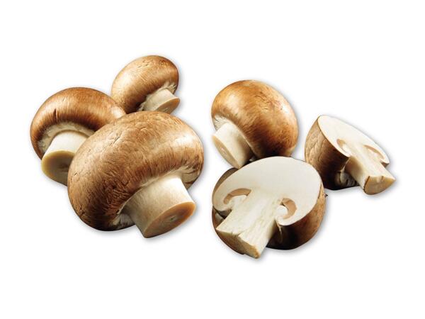 Økologiske danske brune champignon