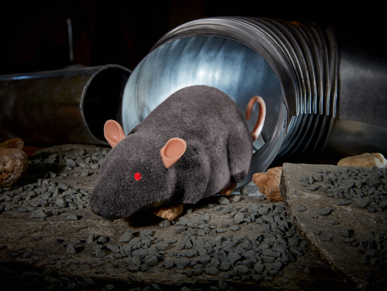 Remote Control Rat