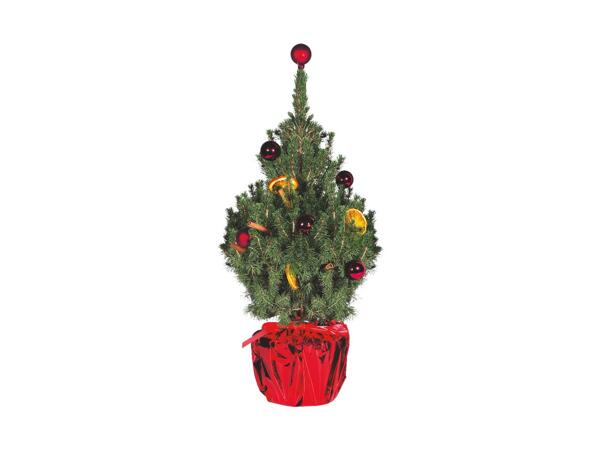 Decorated Christmas Tree