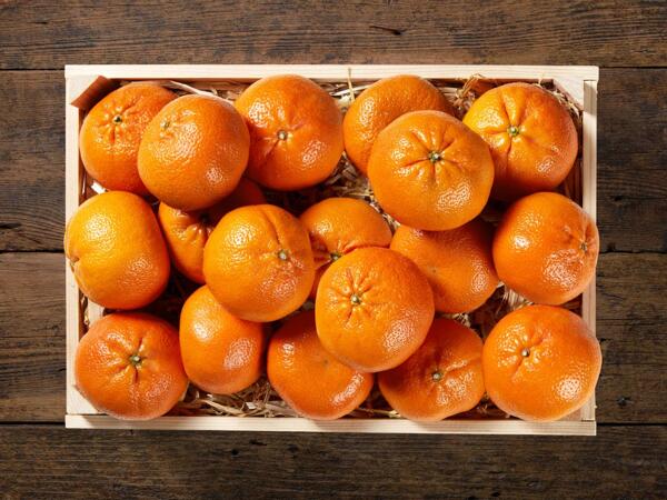 Clementine