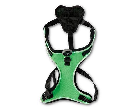 Heart to Tail LED Dog Harness
