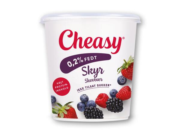 CHEASY Skyr