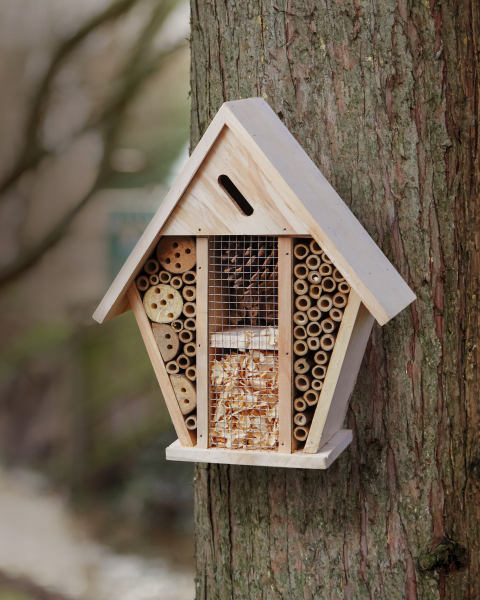 Bee and Insect House with Gable Roof