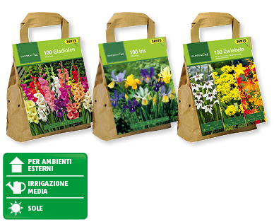 Bulbi di fiori GARDENLINE(R)