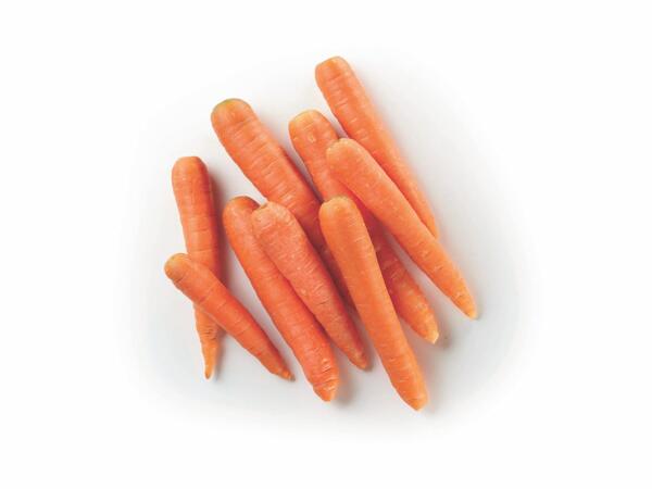 Ispica Carrots PGI