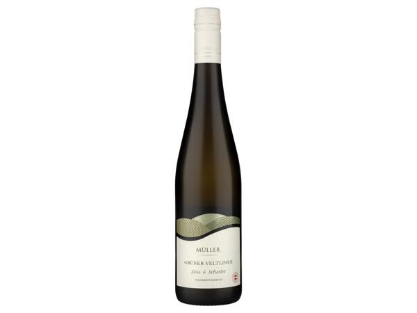 GRÜNER VELTLINER 2023 DOLNÍ RAKOUSKO