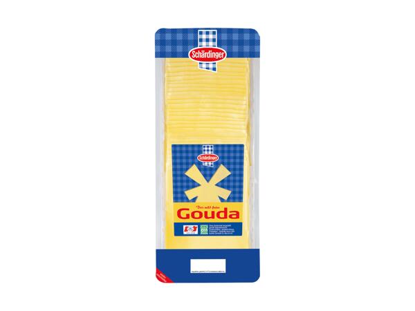 Gouda