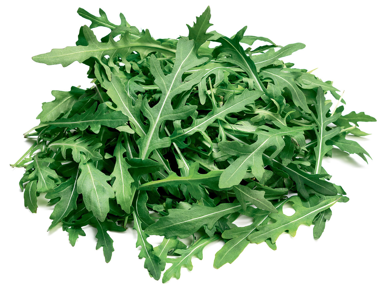 Rucola-Salat
