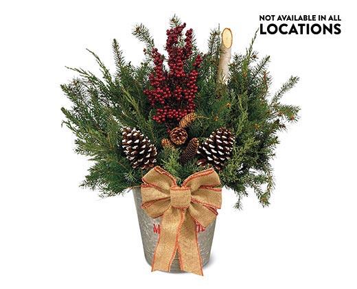 Holiday Planter Assorted Varieties