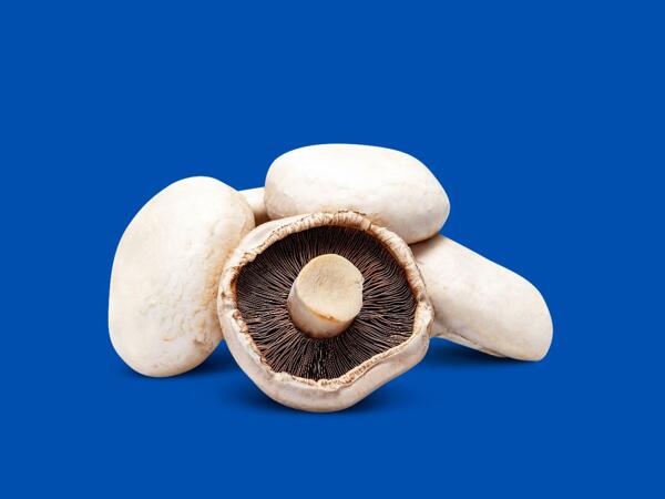 Large Flat Mushrooms